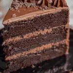 Ultimate Fudge Chocolate Cake