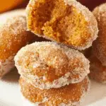Easy Bisquick Pumpkin Donut Holes