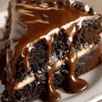 Turtle Chocolate Poke Cake