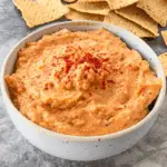 Velveeta Cheese Dip