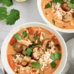 Wicked Thai Chicken Soup