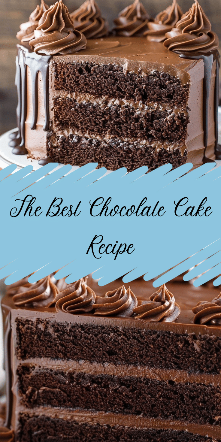 The Best Chocolate Cake Recipe | Meal Shine