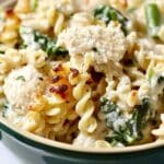 Creamy Garlic Butter Chicken and Rotini in Parmesan Sauce