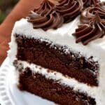 20-Minute No-Bake Chocolate Peanut Butter Cookies