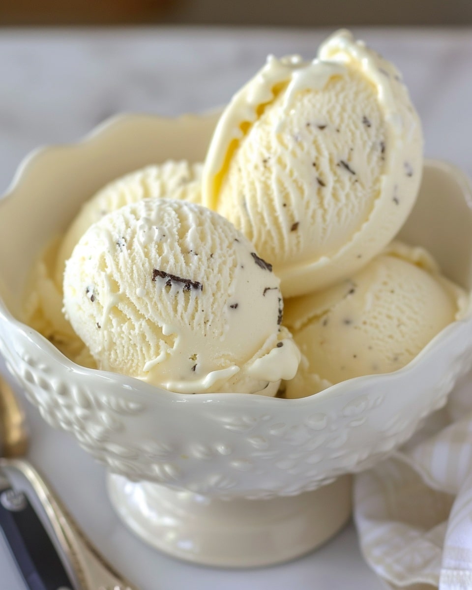 Sugar-Free Low Carb Vanilla Bean Ice Cream