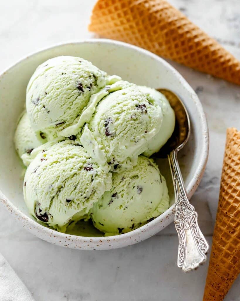 Vegan Mint Chocolate Chip Ice Cream (Ninja Creami) Recipe