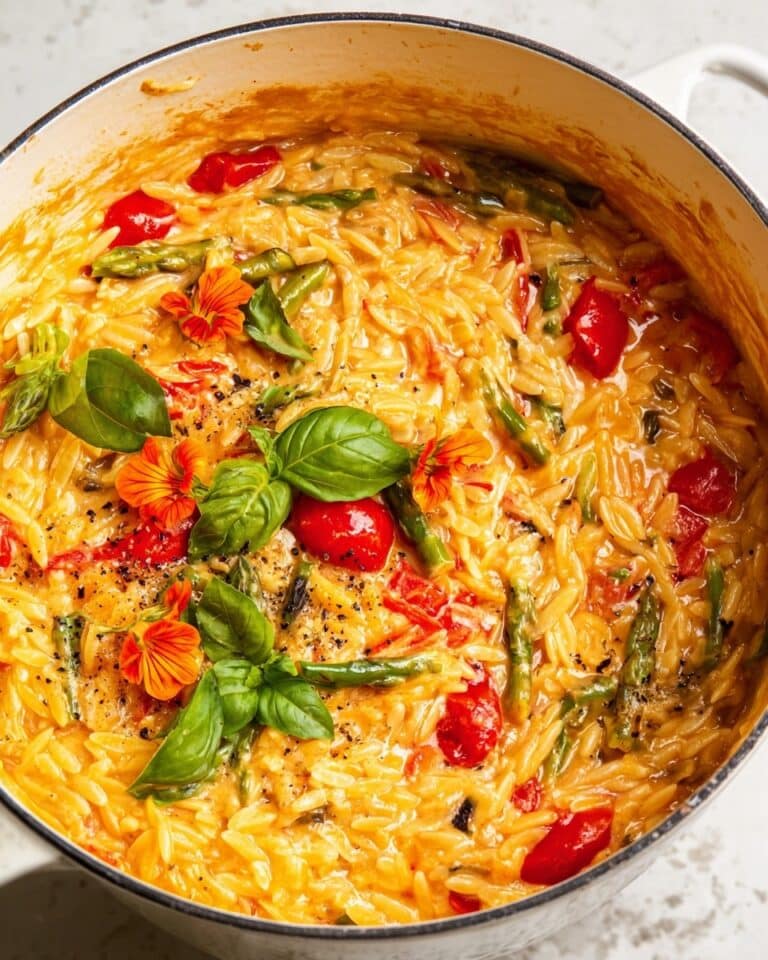 Creamy Tomato Basil Parmesan Orzo Recipe