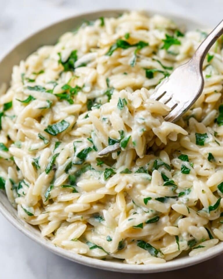 Garlic Parmesan Orzo Recipe
